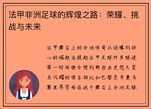 法甲非洲足球的辉煌之路：荣耀、挑战与未来